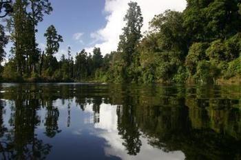 Lodge Brunner Eco *